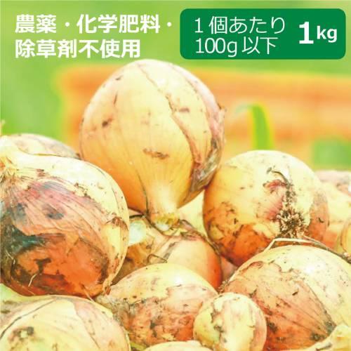 農薬・化学肥料・除草剤不使用　玉ねぎ 1kg ※玉ねぎのサイズは目安1個当たり5.5cm以下・100...