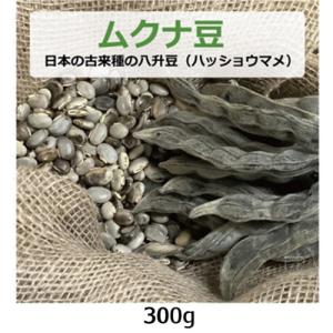 2025年度岡山県美咲町産ムクナ豆2キロ無農薬栽培 ムクナ豆 （日本の古来種の八升豆） 100g （ハッショウマメ） 【ゆう