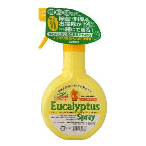 還元くん4 ありがとうボトル ミントグリーン 水素発生ボトル