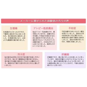 医療用具 邵氏温灸器(しょうしおんきゅうき)+...の詳細画像3