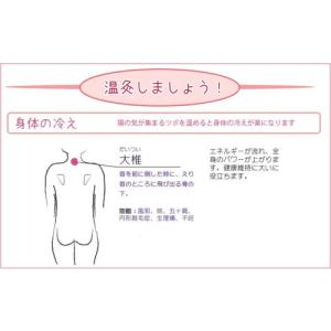 医療用具 邵氏温灸器(しょうしおんきゅうき)+...の詳細画像4