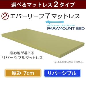 介護ベッド 介護用ベッド 楽匠Z 3モーション...の詳細画像5