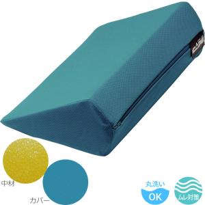 molten（モルテン） ポジショニングピロー ピーチ ラージ MPHLT (介護