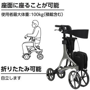 シルバーカー 屋内外両用歩行器 Stone ス...の詳細画像4