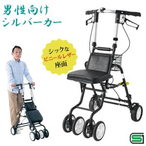 楽天市場】【対象商品限定！300円OFFクーポン配布中！】シルバー