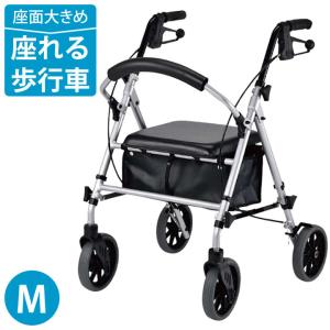 歩行車 シンフォニーワイドSP GAブラウン 島製作所 : オアシス