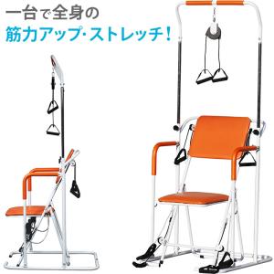【中堅さま専用】ヤマトヒューマン マルチホームトレーナー YMHT-250 YMHT-250 マルチホームトレーナー ヤマトヒューマン 組み立て式