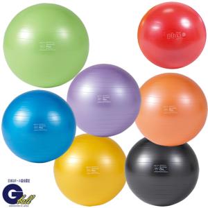 GYMNIC お取り寄せ商品 ギムニク バランスボール 120 レッド フィジオ