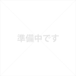 食事 口腔ケア 木製丸型ハンドルスポンジ付き ＮＳ−１ フォーク大 斉藤工業 R-2 UL-002473