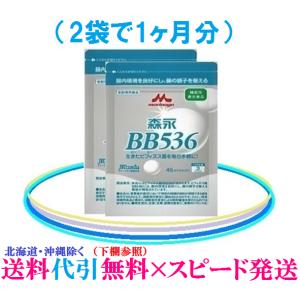 森永乳業 ビヒダスBB536 6袋 : 健康美ショップ - 通販 - Yahoo 