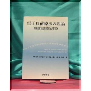 「電子負荷療法の理論」