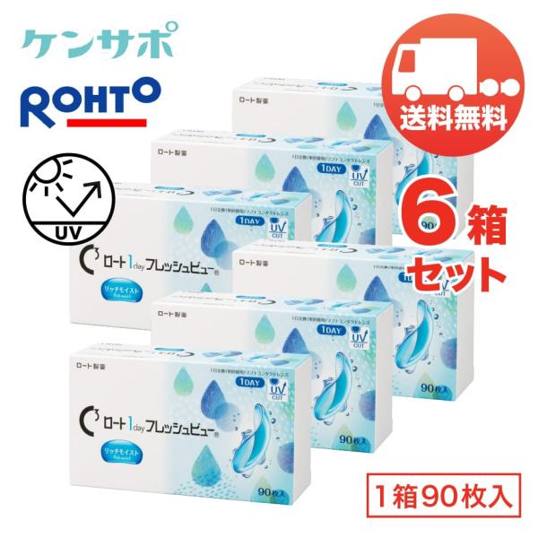 ロート 1day フレッシュビュー リッチモイスト×6箱セット（1箱90枚入り） ROHTO 1日使...