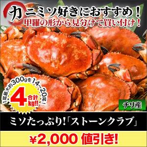 カニ かに 蟹 「ミソたっぷりストーンクラブ」4kg...