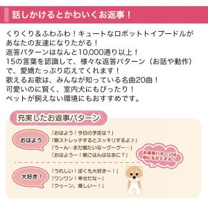 快適生活 ラジオ放送商品 しゃべる犬 犬 ぬい...の詳細画像3