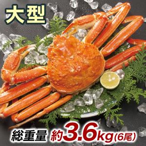 快適生活 かに カニ 蟹 大型ボイルズワイガニ姿まるごと 総重量:約3.6kg(6尾 正味3kg)