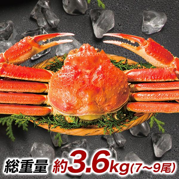 快適生活 かに カニ 蟹 ボイルズワイガニ姿まるごと 総重量:約3.6kg(7〜9尾 正味3kg)