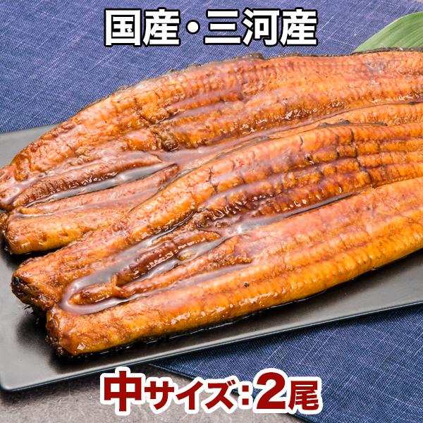 うなぎ 鰻 国産 2尾 三河産 快適生活 三河産「選べる鰻の蒲焼」中サイズ2尾