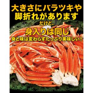 1.2kg かに カニ 蟹 ズワイガニ 訳あり...の詳細画像2