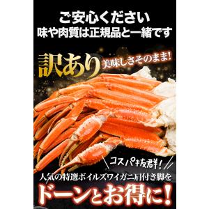 1.2kg かに カニ 蟹 ズワイガニ 訳あり...の詳細画像3