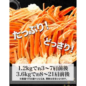 1.2kg かに カニ 蟹 ズワイガニ 訳あり...の詳細画像4