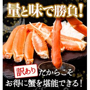 1.2kg かに カニ 蟹 ズワイガニ 訳あり...の詳細画像5