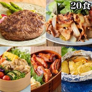 宮崎県産 黒毛和牛 快適生活 宮崎県産「お肉の贅沢グルメセット」20食 ハンバーグ 生姜焼き 照り焼き 西京焼き｜kensei-online