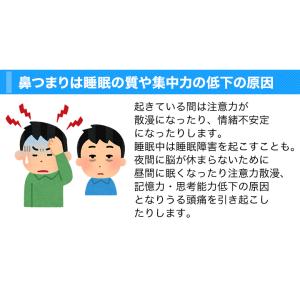 いびき イビキ 安眠 快眠 睡眠 お悩み 鼻 ...の詳細画像2