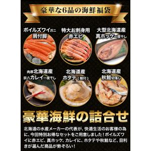 北海道 ズワイ カニ かに ずわい 肩付き脚 ...の詳細画像2