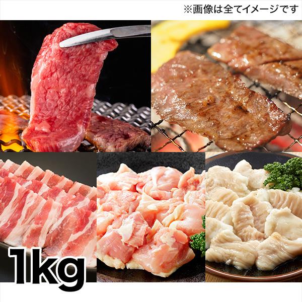 カルビ ハラミ ホルモン シマチョウ 行列のできる焼肉店山河！「お得な満足焼肉5種セット」1kg 鶏...