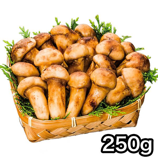 マツタケ まつたけ 天然 快適生活 天然高級 松茸つぼみ 250g つぼみ 土瓶蒸し 松茸ご飯 秋 ...