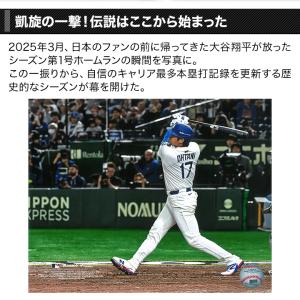 野球 MLB ベースボール サインボール 快適...の詳細画像2