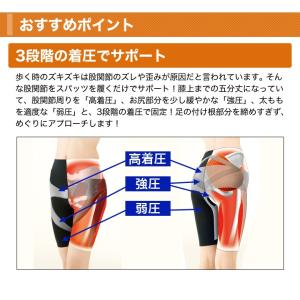 快適生活 サポート 股関節 理学療法士考案「楽...の詳細画像2