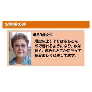 快適生活 サポート 股関節 理学療法士考案「楽...の詳細画像4