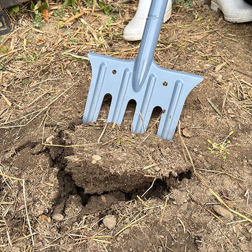 【千吉】土起こしフォーク [SGF-6] (4977292617116) ガーデンフォーク 土壌改良...