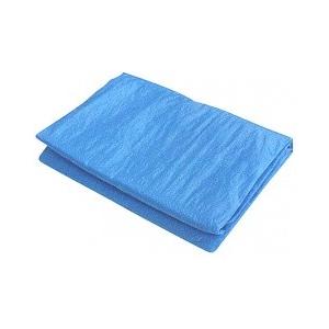 ブルーシート#2000_10.0×10.0(2枚入)（10×10）