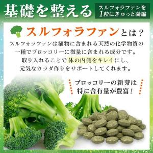 スルフォラファン サプリ 農家が作ったスルフォ...の詳細画像3