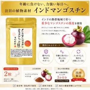 インドマンゴスチンエキスタブレット 180粒 ...の詳細画像1