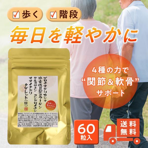 爆買 プロテオグリカン  非変性II型コラーゲン グルコサミン コンドロイチン オオイタドリ タブレ...