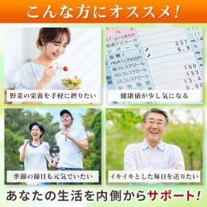 スルフォラファン サプリ 国産ブロッコリースプ...の詳細画像2