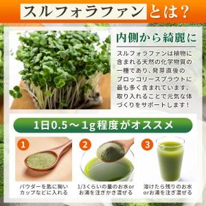 スルフォラファン サプリ 国産ブロッコリースプ...の詳細画像3