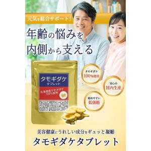 たもぎ茸タブレット360粒×250mg 北海道...の詳細画像1