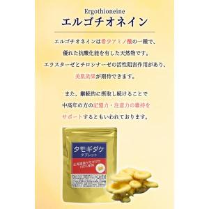 たもぎ茸タブレット360粒×250mg 北海道...の詳細画像4