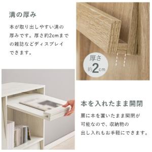萩原 フラップ式ディスプレイラック RCC-1...の詳細画像5
