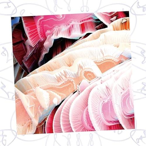 CD/NAQT VANE/NV (初回生産限定盤)