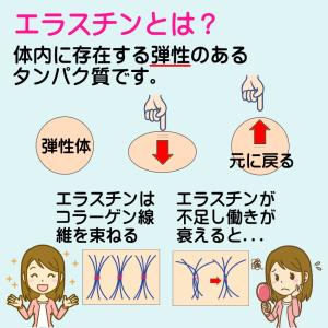 エラスチン サプリ 60日分 (機能性表示食品...の詳細画像3