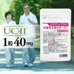 非変性2型コラーゲン UC-II 30日分 コラパワー II...
