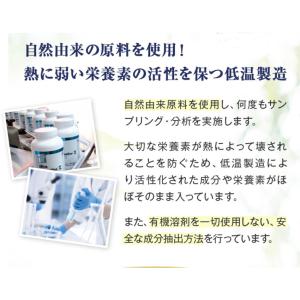 UPX1/3 スプリット 360粒 小粒 マル...の詳細画像3