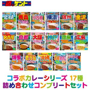 【 るるぶ × HACHI 】コラボカレー シリーズ 17種 詰め合わせ コンプリート セット 【 17個入 】 レトルト カレー 食べ比べ