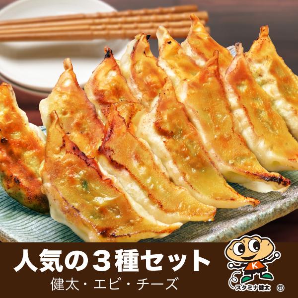 人気３種セット　 宇都宮餃子館 餃子 ぎょうざ 惣菜 点心 冷凍餃子 【栃木県・宇都宮餃子会加盟店】