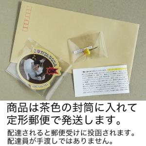 ピメンタ・デ・シェイロ付きネオニャゴラステッカーの詳細画像1